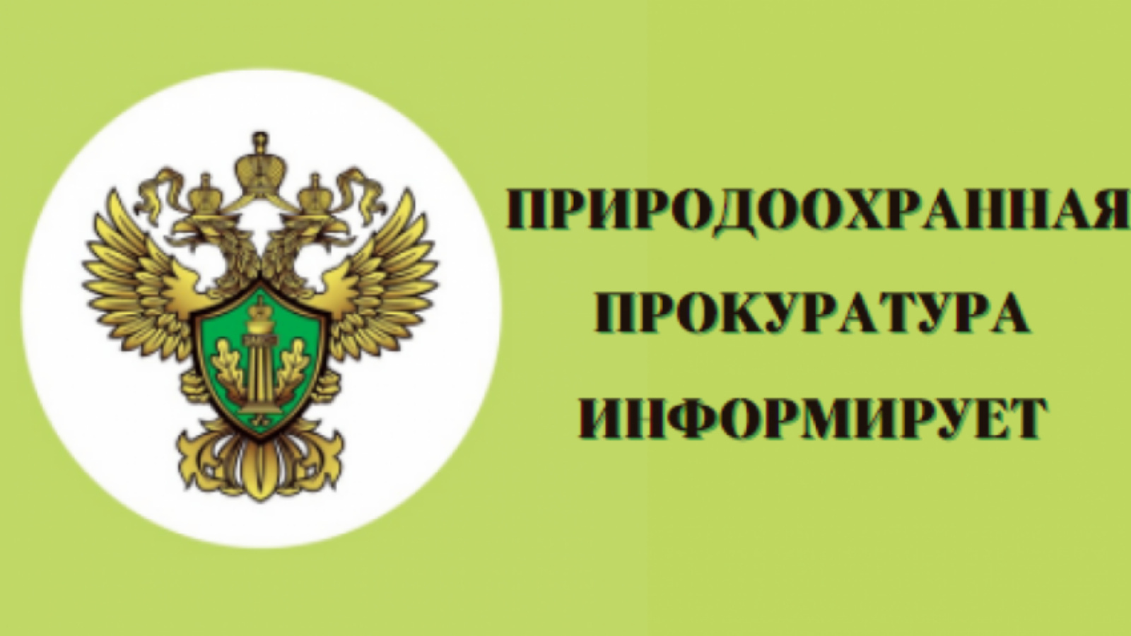 Красноярская природоохранная прокуратуру информирует.