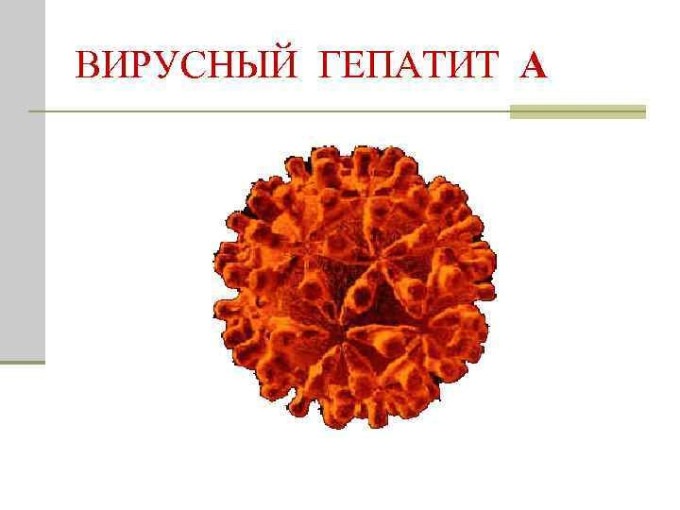 Вирусный гепатит А.