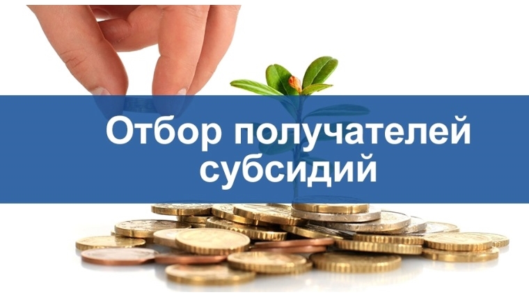 отбор заявок получателей поддержки на предоставление субсидий.