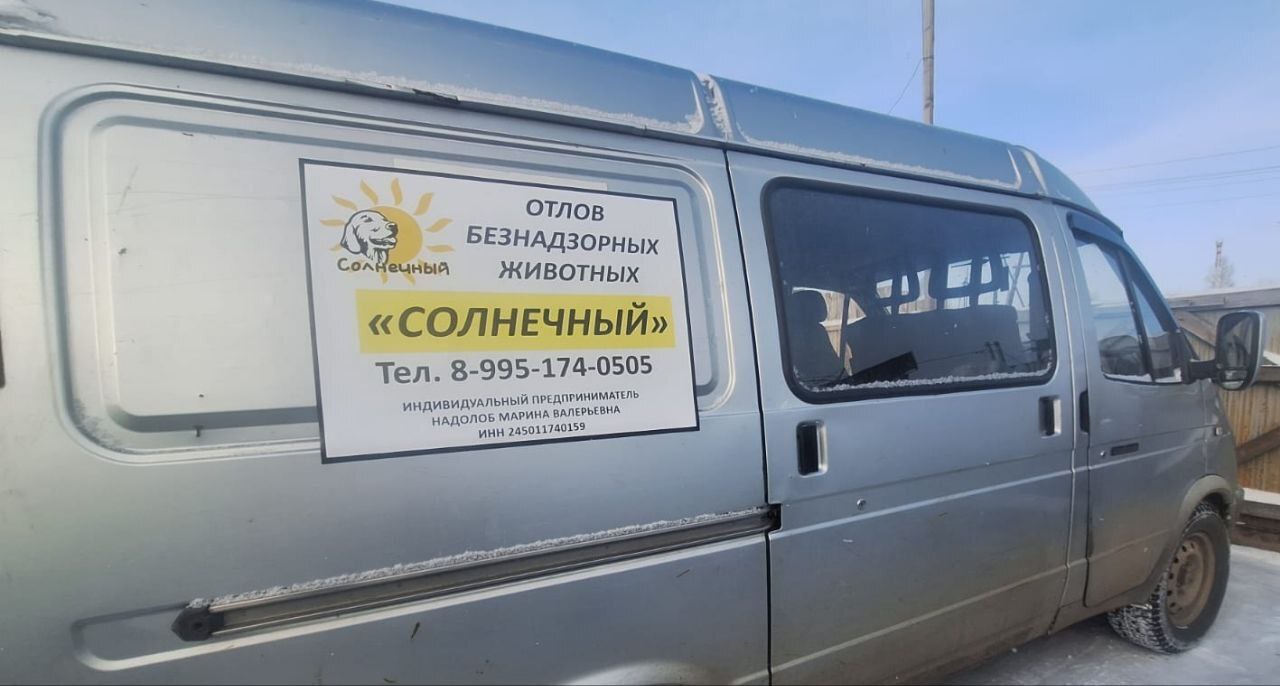 Отлов животных без владельцев.
