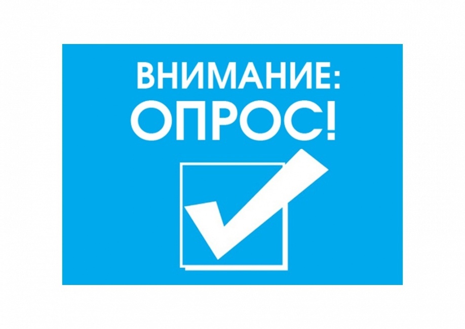 Проведение опроса.
