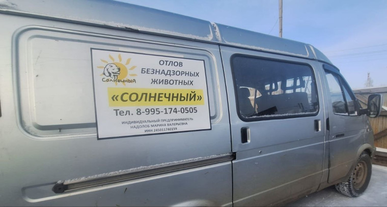 Отлов животных без владельцев. Отлов животных без владельцев.